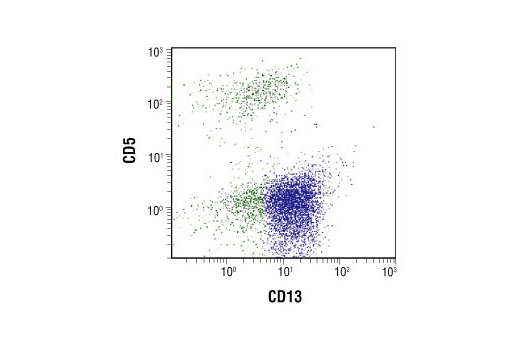 Two color flow cytometric analysis of whole blood, using CD13 (B-F10) Mouse mAb and CD5. Blue=CD13-positive monocytes and granulocytes.