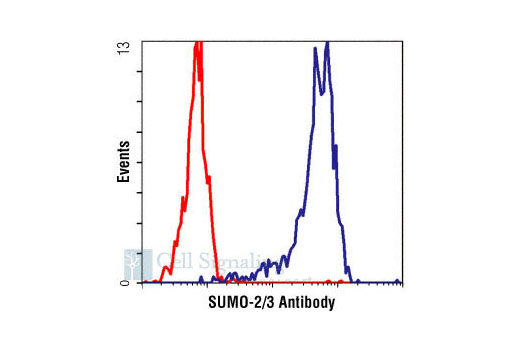 Flow cytometric analysis of untreated Jurkat cells, using Sumo-2/3 antibody (blue) compared to a nonspecific negative control antibody (red).