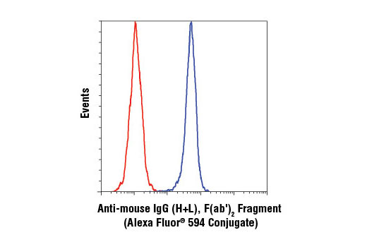 Flow cytometric analysis of untreated Jurkat cells using Akt (5G3) Mouse mAb #2966 detected with Anti-mouse IgG (H+L), F(ab') 2 Fragment (Alexa Fluor ® 594 Conjugate) (blue) compared to concentration-matched Mouse (G3A1) mAb IgG1 Isotype Control #5415 (red).