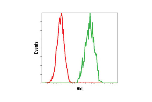 Flow cytometric analysis of untreated Jurkat cells using Akt (5G3) Mouse mAb #2966 detected with Anti-Mouse IgG (H+L), F(ab') 2 Fragment (Alexa Fluor ® 647 Conjugate) (green) compared to a nonspecific negative control antibody (red).