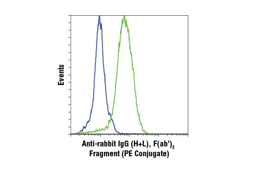 Flow cytometric analysis of Jurkat cells, untreated (green) or treated with LY294002 #9901, Wortmannin #9951, and U0126 #9903 (blue), using Phospho-Akt (Ser473) (D9E) XP ® Rabbit mAb #4060 detected with Anti-rabbit IgG (H+L), F(ab') 2 Fragment (PE Conjugate).