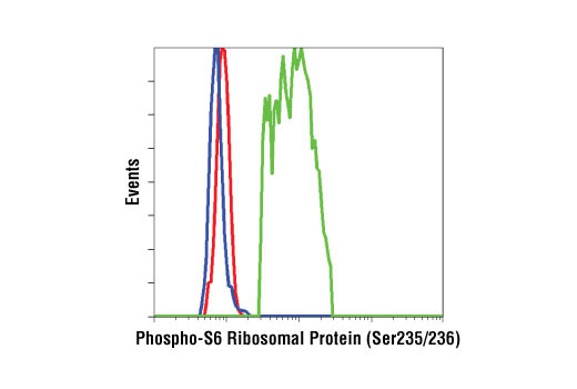 Flow cytometric analysis of Jurkat cells, untreated (green) or treated with LY294002 #9901, Wortmannin #9951 and U0126 #9906 (blue), using Phospho-S6 Ribosomal Protein (Ser235/236) (D57.2.2E) XP ® Rabbit mAb #4858 detected with Anti-rabbit IgG (H+L), F(ab') 2 Fragment (Alexa Fluor ® 647 Conjugate) compared to a nonspecific negative control antibody (red).