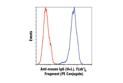 Flow cytometric analysis of untreated Jurkat cells using Akt (5G3) Mouse mAb #2966 detected with Anti-mouse IgG (H+L), F(ab') 2 Fragment (PE Conjugate) (blue) compared to concentration-matched Mouse (G3A1) mAb IgG1 Isotype Control #5415 (red).