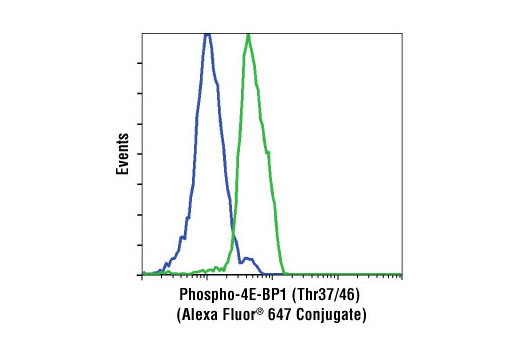 Flow cytometric analysis of Jurkat cells, untreated (green) or treated with LY294002 #9901, Wortmannin #9951 and U0126 #9903 (blue), using Phospho-4E-BP1 (Thr37/46) (236B4) Rabbit mAb (Alexa Fluor ® 647 Conjugate).