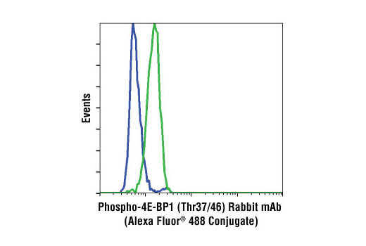 Flow cytometric analysis of Jurkat cells, untreated (green) or LY294002, Wortmannin and U0126-treated (blue), using Phospho-4E-BP1 (Thr37/46) (236B4) Rabbit mAb (Alexa Fluor ® 488 Conjugate).