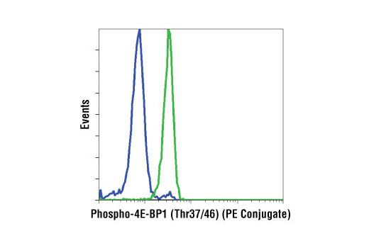 Flow cytometric analysis of Jurkat cells, untreated (green) or treated with LY294002 #9901, Wortmannin #9951, and U0126 #9903 (blue), using Phospho-4E-BP1 (Thr37/46) (236B4) Rabbit mAb (PE Conjugate).