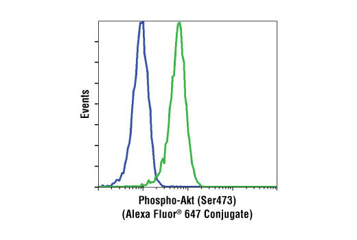 Flow cytometric analysis of Jurkat cells, untreated (green) or treated with LY294002 #9901, wortmannin #9951 and U0126 #9903 (blue), using Phospho-Akt (Ser473) (D9E) XP ® Rabbit mAb (Alexa Fluor ® 647 Conjugate).