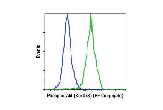 Flow cytometric analysis of Jurkat cells, untreated (green) or treated with LY294002 (PI3 Kinase Inhibitor) #9901, Wortmannin (PI3 Kinase Inhibitor) #9551 and U0126 (MEK1/2 Inhibitor) #9903 (blue), using Phospho-Akt (Ser473) (D9E) XP ® Rabbit mAb (PE Conjugate).
