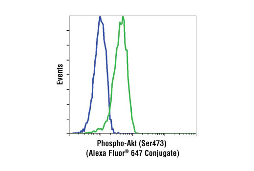 Flow cytometric analysis of Jurkat cells, untreated (green) or LY294002 and wortmannin treated (blue), using Phospho-Akt (Ser473) (193H12) Rabbit mAb (Alexa Fluor ® 647 Conjugate).