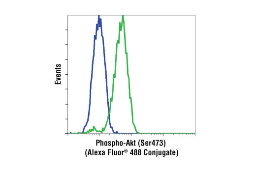 Flow cytometric analysis of Jurkat cells, untreated (green) or LY294002 and wortmannin treated (blue), using Phospho-Akt (Ser473) (193H12) Rabbit mAb (Alexa Fluor ® 488 conjugate).