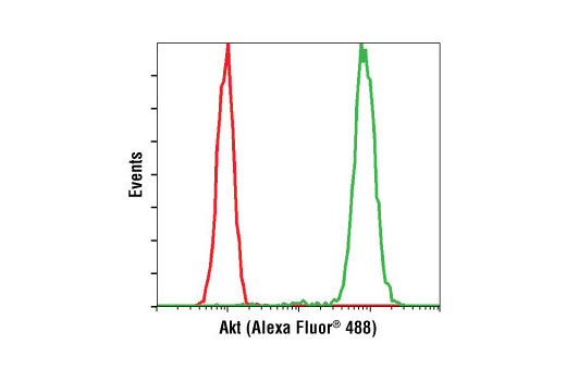 Flow cytometric analysis of untreated Jurkat cells (green) using Akt (5G3) Mouse mAb (Alexa Fluor ® 488 Conjugate) compared to a nonspecific negative control antibody (red).