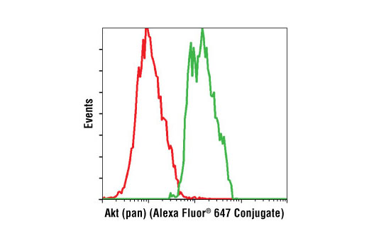 Flow cytometric analysis of Jurkat cells using Akt (pan) (C67E7) Rabbit mAb (Alexa Fluor ® 647 Conjugate) (green) compared to Rabbit (DA1E) mAb IgG XP ® Isotype Control (Alexa Fluor ® 647 Conjugate) #2985 (red).