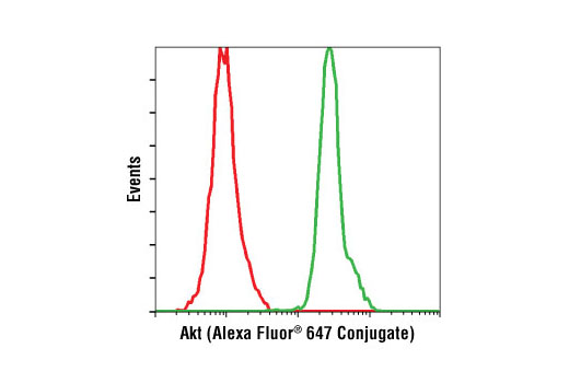 Flow cytometric analysis of untreated Jurkat cells (green) using Akt (5G3) Mouse mAb (Alexa Fluor ® 647 Conjugate) compared to a nonspecific negative control antibody (red).