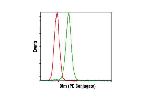 Flow cytometric analysis of HeLa cells using Bim (C34C5) Rabbit mAb (PE Conjugate) (green) compared to concentration-matched Rabbit (DA1E) mAb IgG XP ® Isotype Control (PE Conjugate) #5742 (red).