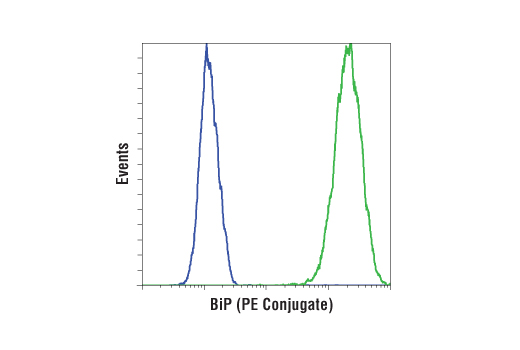 Flow cytometric analysis of A-204 cells using BiP (C50B12) Rabbit mAb (PE Conjugate) (green) compared to concentration-matched Rabbit (DA1E) mAb IgG XP ® Isotype Control (PE Conjugate) #5742 (blue).