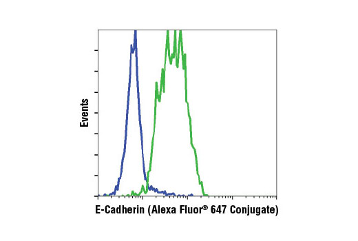 Flow cytometric analysis of Jurkat (blue) and MCF7 (green) cells using E-Cadherin (24E10) Rabbit mAb (Alexa Fluor ® 647 Conjugate).