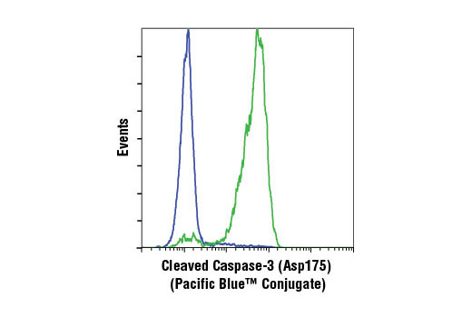 Flow cytometric analysis of Jurkat cells, untreated (blue) or etoposide-treated (green), using Cleaved Caspase-3 (Asp175) (D3E9) Rabbit mAb (Pacific Blue™ Conjugate).