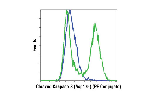 Flow cytometric analysis of Jurkat cells, untreated (blue) or etoposide-treated (green), using Cleaved Caspase-3 (Asp175) (5A1E) Rabbit mAb (PE Conjugate).