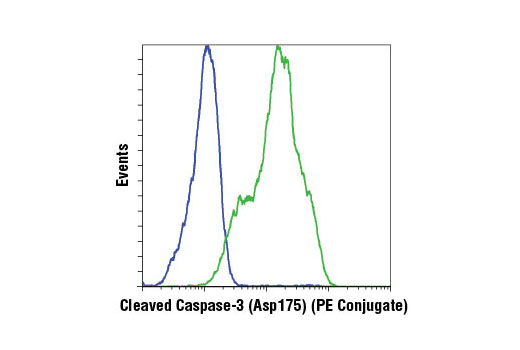 Flow cytometric analysis of Jurkat cells, untreated (blue) or treated with Etoposide #2200 (green), using Cleaved Caspase-3 (Asp175) (D3E9) Rabbit mAb (PE Conjugate).