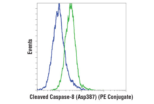 Flow cytometric analysis of Raw 264.7 cells, untreated (blue) or treated with Cycloheximide #2112 (10 μg/ml, overnight) and mTNF-α #5178 (20 ng/ml, 4 hr; green), using Cleaved Caspase-8 (Asp387) (D5B2) XP ® Rabbit mAb (Mouse Specific) (PE Conjugate).