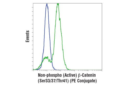 Flow cytometric analysis of K-562 cells, untreated (blue) or treated with CHIR99021 (3 μM, 48 hr) (green) using Non-phospho (Active) β-Catenin (Ser33/37/Thr41) (D13A1) Rabbit mAb (PE Conjugate).