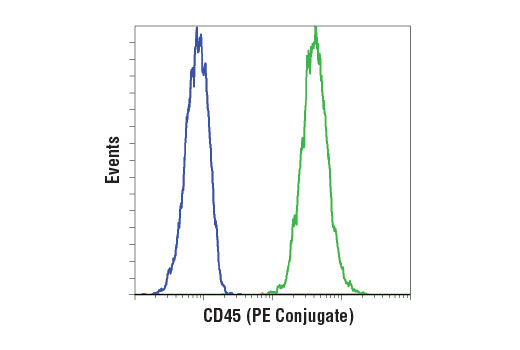 Flow cytometric analysis of 293T cells (blue) and Jurkat cells (green) using CD45 (D9M8I) XP ® Rabbit mAb (PE Conjugate).
