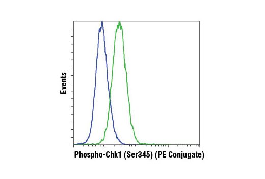 Flow cytometric analysis of HeLa cells, untreated (blue) and UV-treated (green), using Phospho-Chk1 (Ser345) (133D3) Rabbit mAb (PE Conjugate).