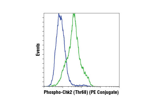 Flow cytometric analysis of HeLa cells, untreated (blue) or UV-treated (green), using Phospho-Chk2 (Thr68) (C13C1) Rabbit mAb (PE Conjugate).
