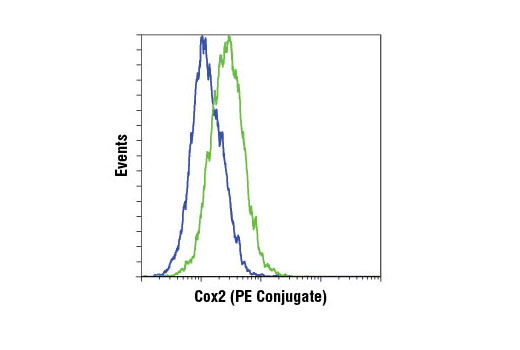 Flow cytometric analysis of Raw 264.7 cells, untreated (blue) or LPS-treated (1 µg/ml, 24 hr; green), using Cox2 (D5H5) XP ® Rabbit mAb (PE Conjugate).