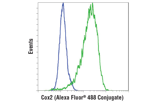 Flow cytometric analysis of Raw 264.7 cells, untreated (blue) or LPS-treated (1 μg/ml, 24 hr; green), using Cox2 (D5H5) XP ® Rabbit mAb (Alexa Fluor ® 488 Conjugate).