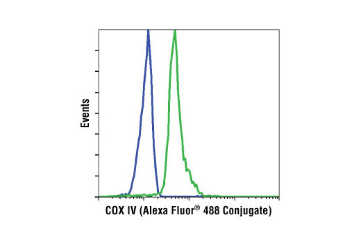 Flow cytometric analysis of NIH/3T3 (blue) and Jurkat cells (green) using COX IV (3E11) Rabbit mAb (Alexa Fluor ® 488 Conjugate).