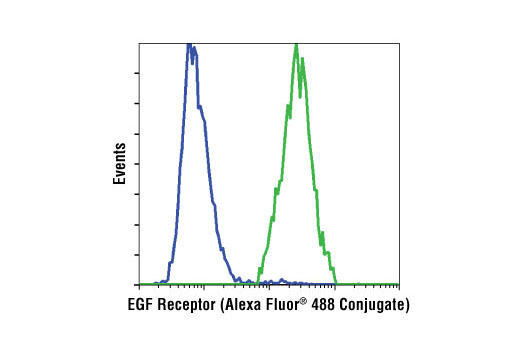Flow cytometric analysis of Jurkat cells (blue) and HeLa cells (green) using EGF Receptor (D38B1) XP ® Rabbit mAb (Alexa Fluor ® 488 Conjugate).