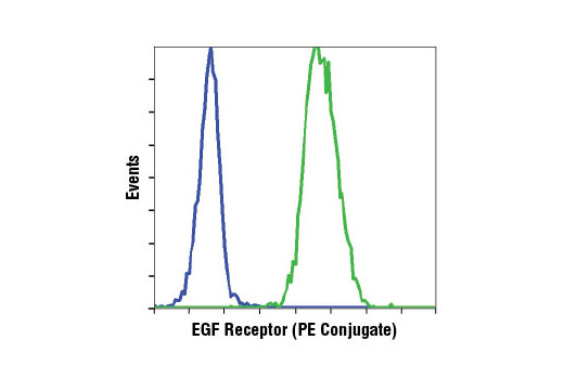 Flow cytometric analysis of Jurkat (blue) and HeLa cells (green) using EGF Receptor (D38B1) XP ® Rabbit mAb (PE Conjugate).