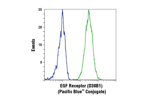 Flow cytometric analysis of Jurkat (blue) and HeLa (green) cells, using EGF Receptor (D38B1) XP ® Rabbit mAb (Pacific Blue™ Conjugate).