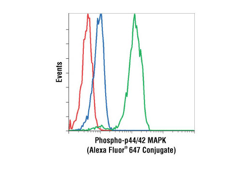 Flow cytometric analysis of Jurkat cells, UO126-treated (blue) or PMA-treated (green), using Phospho-p44/42 MAPK (Erk1/2) (Thr202/Tyr204) (E10) Mouse mAb (Alexa Fluor ® 647 conjugate) compared to a nonspecific control antibody (red).