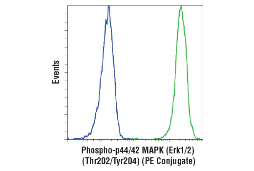 Flow cytometric analysis of Jurkat cells treated with U0126 #9903 (blue) or TPA #4174 (green) using Phospho-p44/42 MAPK (Erk1/2) (Thr202/Tyr204) (197G2) Rabbit mAb (PE Conjugate).