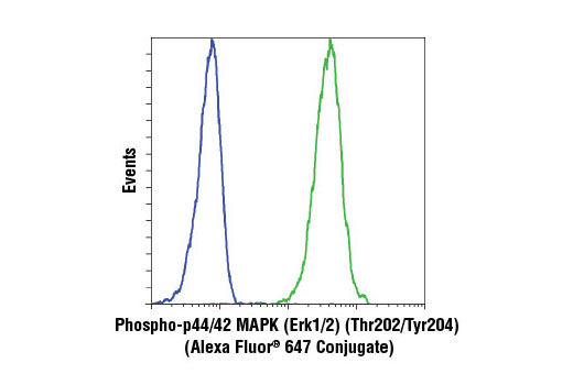 Flow cytometric analysis of Jurkat cells treated with U0126 #9903 (blue) or TPA #4174 (green) using Phospho-p44/42 MAPK (Erk1/2) (Thr202/Tyr204) (197G2) Rabbit mAb (Alexa Fluor ® 647 Conjugate).