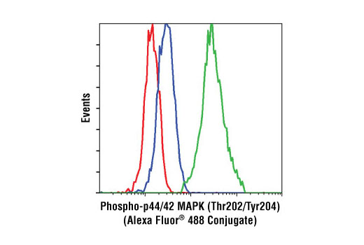 Flow cytometric analysis of Jurkat cells, UO126-treated (blue) or PMA-treated (green), using Phospho-p44/42 MAPK (Erk1/2) (Thr202/Tyr204) (E10) Mouse mAb (Alexa Fluor ® 488 conjugate) compared to a nonspecific control antibody (red).