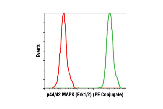 Flow cytometric analysis of Jurkat cells using p44/42 MAPK (Erk1/2) (137F5) Rabbit mAb (PE Conjugate) (green) compared to concentration-matched Rabbit (DA1E) mAb IgG XP ® Isotype Control (PE Conjugate) #5742 (red).