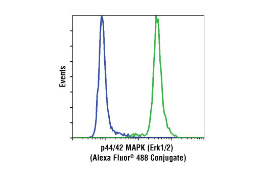 Flow cytometric analysis of Jurkat cells, using p44/42 MAPK (Erk1/2) (137F5) Rabbit mAb (Alexa Fluor ® 488 Conjugate) (green) compared to XP ® Rabbit (DA1E) mAb IgG Isotype Control (Alexa Fluor ® 488 Conjugate) #2975 (blue).
