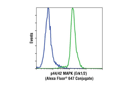 Flow cytometric analysis of Jurkat cells using p44/42 MAPK (Erk1/2) (137F5) Rabbit mAb (Alexa Fluor ® 647 Conjugate) (green) compared to Rabbit (DA1E) mAb IgG XP ® Isotype Control (Alexa Fluor ® 647 Conjugate) #2985 (blue).