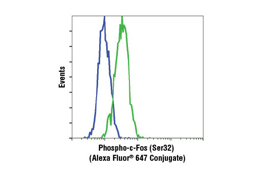 Flow cytometric analysis of HeLa cells, untreated (blue) or treated with TPA #4174 (green), using Phospho-c-Fos (Ser32) (D82C12) XP ® Rabbit mAb (Alexa Fluor ® 647 Conjugate).