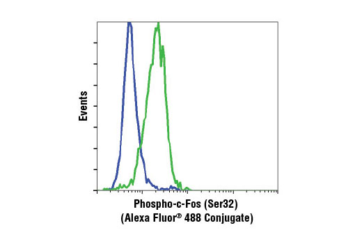 Flow cytometric analysis of HeLa cells, untreated (blue) or treated with TPA #4174 (green), using Phospho-c-Fos (Ser32) (D82C12) XP ® Rabbit mAb (Alexa Fluor ® 488 Conjugate).