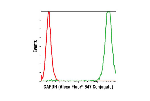 Flow cytometric analysis of HeLa cells using GAPDH (14C10) Rabbit mAb (Alexa Fluor ® 647 Conjugate) (green) compared to Rabbit (DA1E) mAb IgG Isotype Control (Alexa Fluor ® 647 Conjugate) #2985 (red).