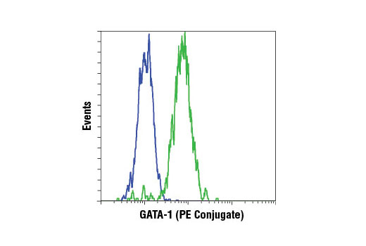 Flow cytometric analysis of HeLa (blue) and K-562 (green) cells using GATA-1 (D52H6) XP ® Rabbit mAb (PE Conjugate).