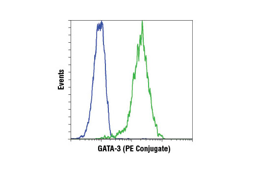 Flow Cytometric analysis of THP-1 (blue) and MCF7 (green) cells using GATA-3 (D13C9) XP ® Rabbit mAb (PE Conjugate).