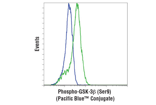 Flow cytometric analysis of PC-3 cells, untreated (green) or treated with LY294002 #9901 and Wortmannin #9951 (blue), using Phospho-GSK-3β (Ser9) (D85E12) XP ® Rabbit mAb (Pacific Blue ™ Conjugate).
