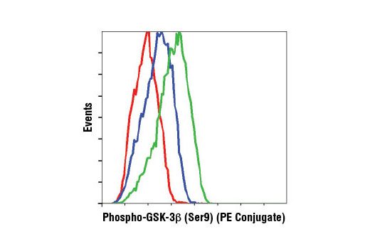 Flow cytometric analysis of NIH/3T3 cells treated with hPDGF-BB #8912 and λ phosphatase (red), untreated (blue), or treated with hPDGF-BB #8912 only (green) using Phospho-GSK-3β (Ser9) (D85E12) XP ® Rabbit mAb (PE Conjugate).