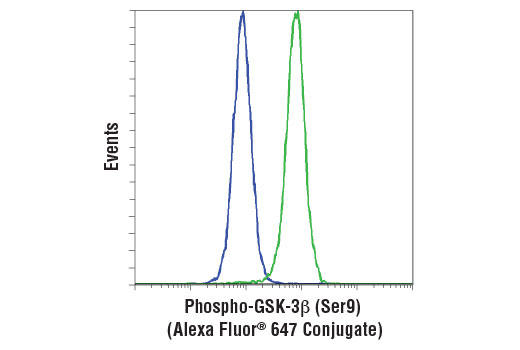 Flow cytometric analysis of PC-3 cells, untreated (green) or treated with LY294002 #9901 and Wortmannin #9951 (blue), using Phospho-GSK-3β (Ser9) (D85E12) XP ® Rabbit mAb (Alexa Fluor ® 647 Conjugate).