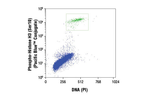 Flow cytometric analysis of Jurkat cells using Phospho-Histone H3 (Ser10) (D2C8) XP ® Rabbit mAb (Pacific Blue™ Conjugate) compared to propidium iodide (DNA content). Gated cells are phospho-histone H3 positive.